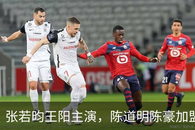 张若昀王阳主演，陈道明陈豪加盟，国产谍战剧终于迎来高潮