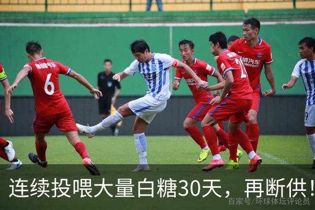 连续投喂大量白糖30天，再断供！国外网红扮“蚂蚁天神”整蛊野生蚁群